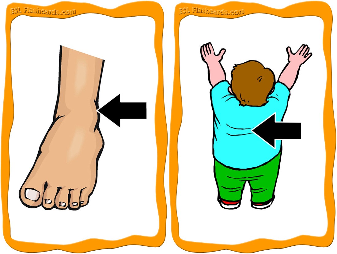 1100x828 Sports Flashcards To Download And Print