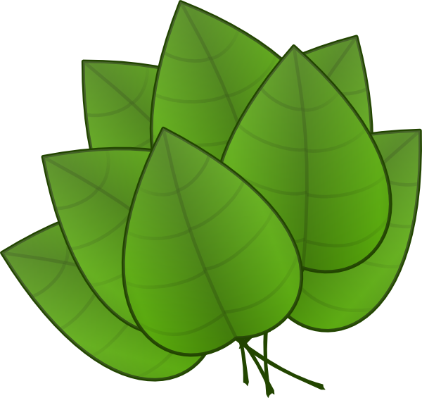 600x565 Leaf Cartoon