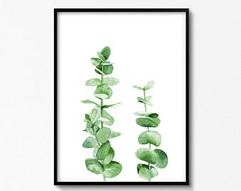 340x270 Watercolor Green Leaf Clip Artgreeneryeucalyptuswild