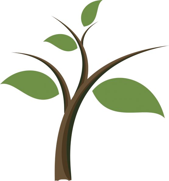 Eucalyptus Leaf Clipart | Free download on ClipArtMag