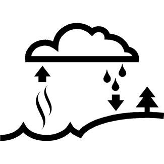 325x325 Family Wang Solutions