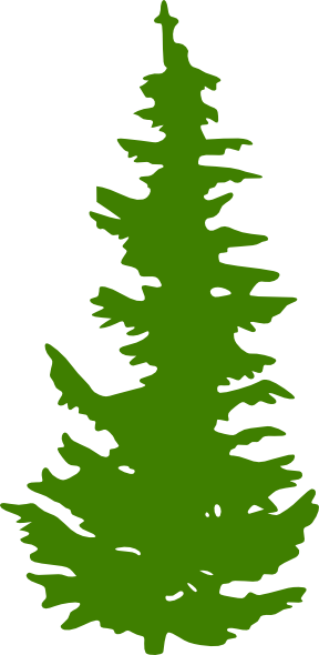 288x590 Evergreen Tree Clip Art