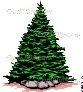 271x300 Evergreen Tree Vector Clip Art