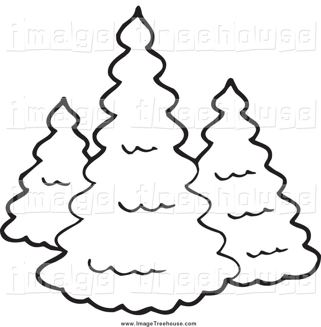 1024x1044 Three Trees Clip Art