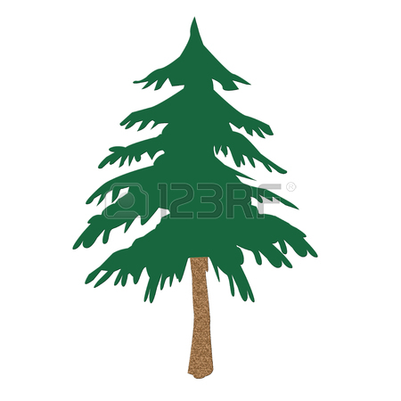 450x450 Evergreen Tree Icon On White Background Stock Photo, Picture