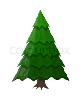 260x320 Evergreen Tree Fir Tree In Winter Stock Vector Colourbox