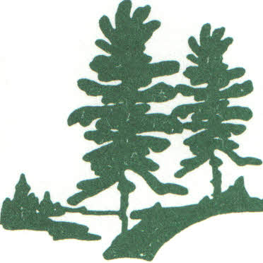372x372 Muskoka Evergreen Tree Service Limited