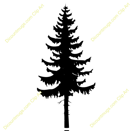 500x500 Spruce, Conifer, Tree, Fir, Faux Tuscan Wall