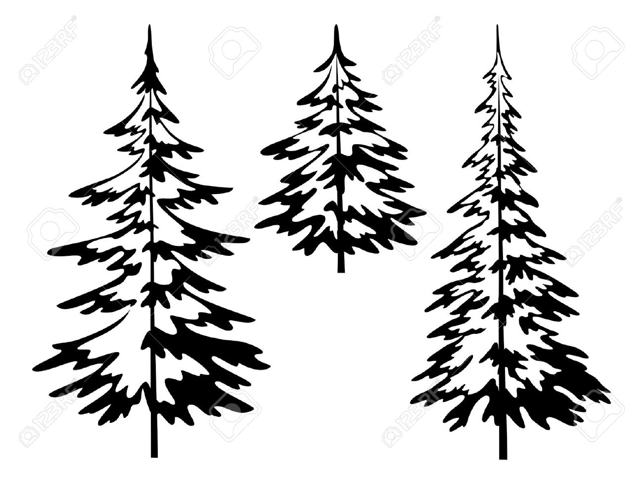 1300x980 Evergreen Tree Black And White Clipart Collection