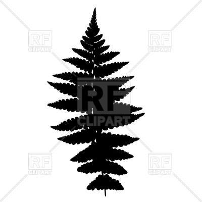400x400 Fern Leaf Silhouette Royalty Free Vector Clip Art Image