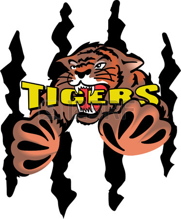 373x450 Show Your Team Spirit With This Tigers Everyone Will Love