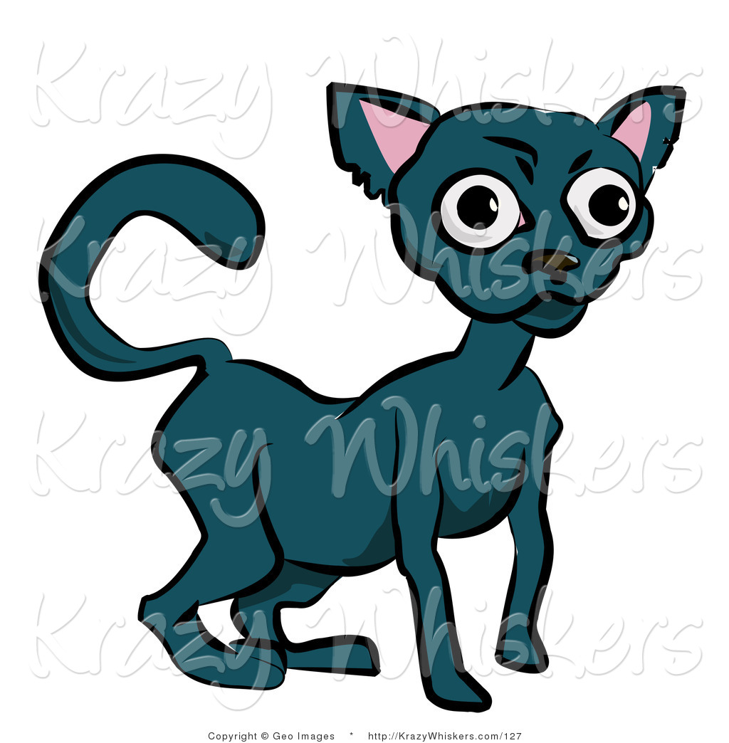 1024x1044 Royalty Free Black Cat Stock Animal Designs