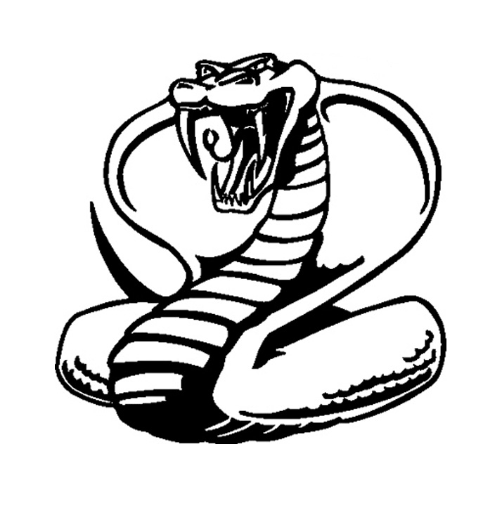 714x720 King Cobra Clipart Drawn