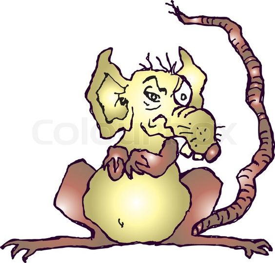 564x538 Graphics For Evil Rat Graphics