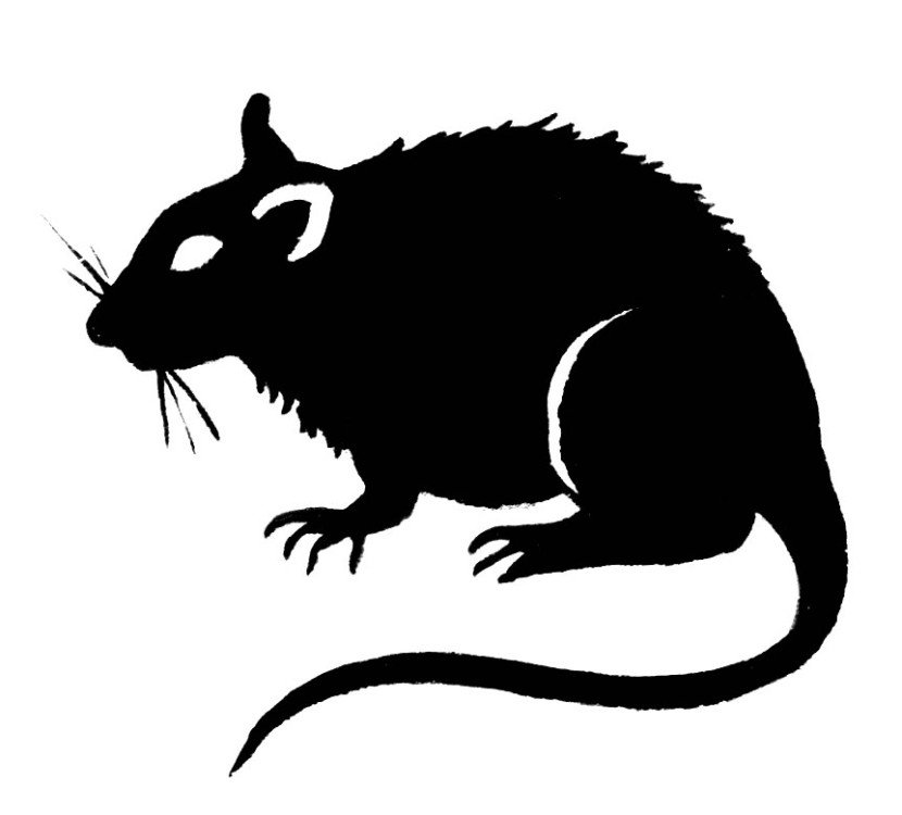 830x750 Rat Clipart Creepy