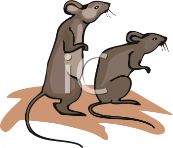 350x299 Rat Clipart Two
