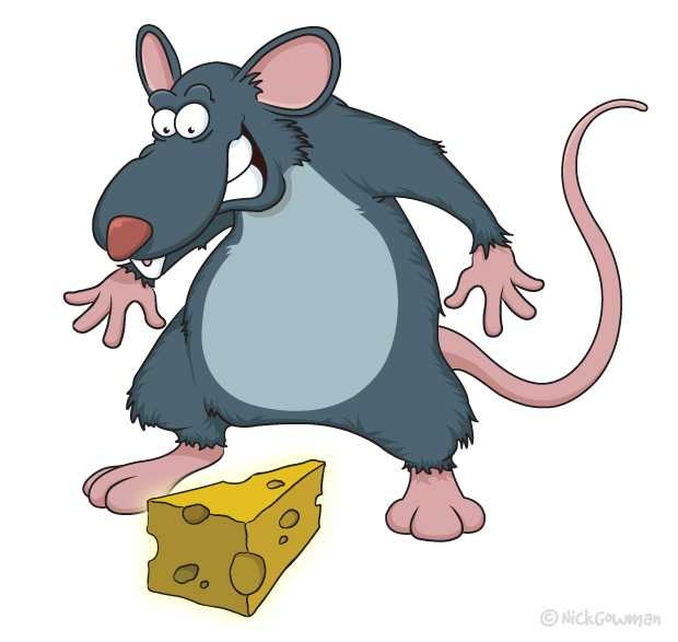 620x587 Top 10 Rat Pictures Cartoon