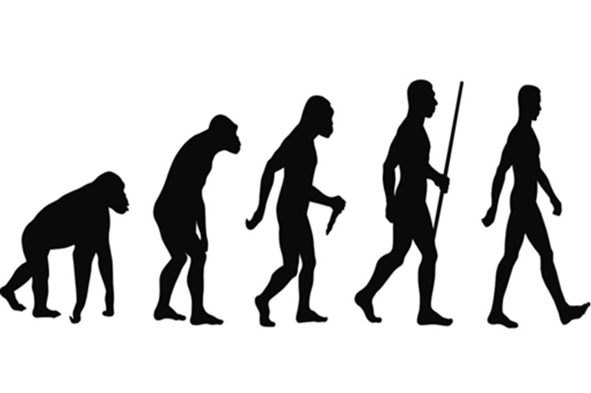 852x566 Evolution Clipart