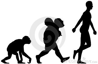 400x264 Evolution Clipart