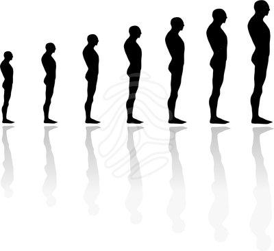 400x367 Evolution Clipart Free Download Clip Art On 2