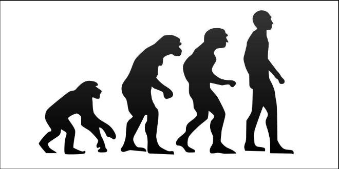 660x330 Theory Of Evolution Clipart