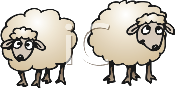 350x178 Royalty Free Ewe Clipart