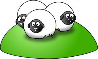 330x200 Sheep Knitting Cliparts 256930