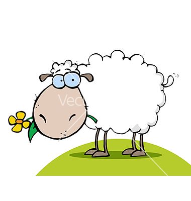 380x400 Best Sheep Cartoon Ideas Sheep Vector, Cute