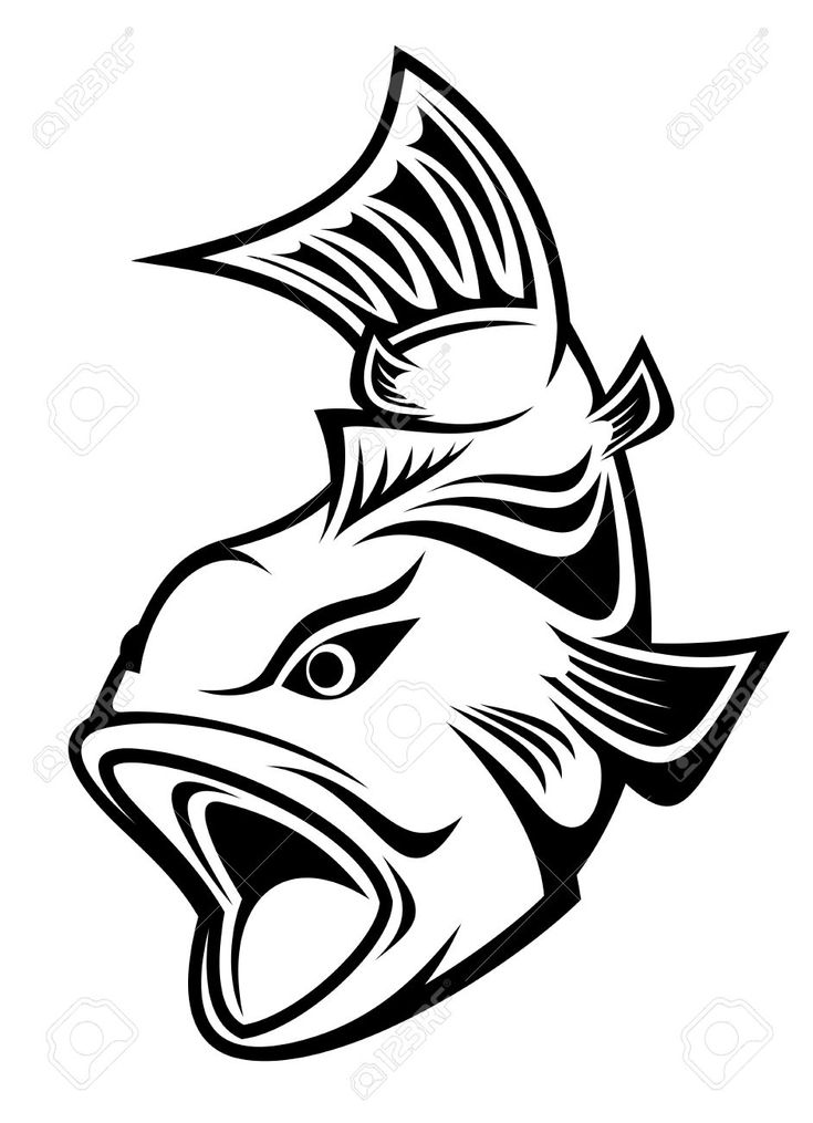 735x1015 7 Best Canoe Images Html, Clip Art And Mad