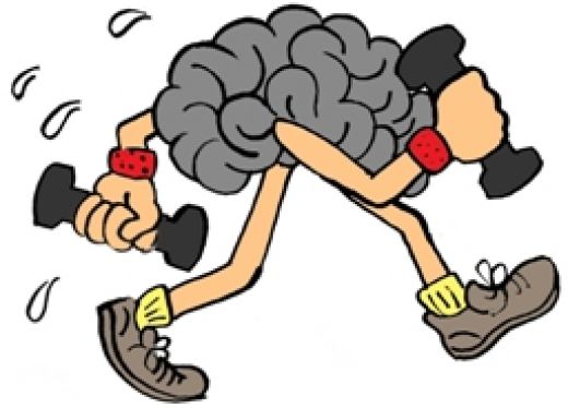 520x374 Brain Clipart Brain Workout