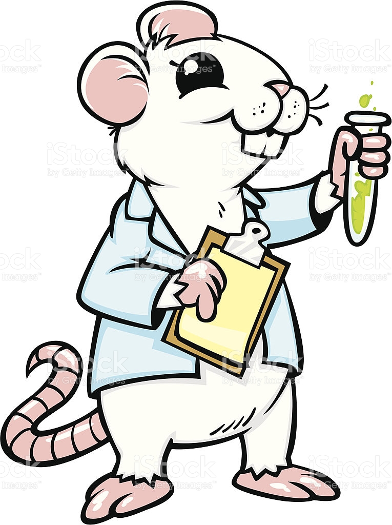 765x1024 Rat Clipart Lab Rat