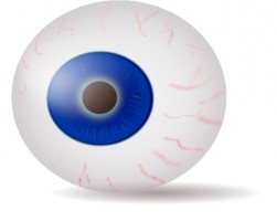 251x200 Eyeball Clip Art Free Vector For Free Download About 8 Free Image