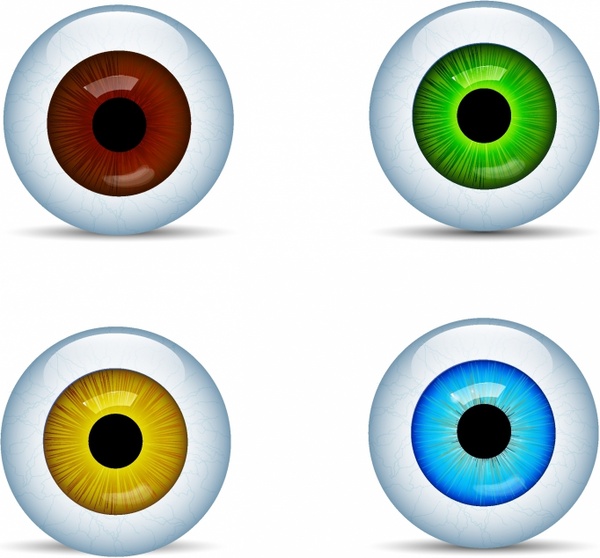 600x558 Eyeball Vector Free Vector Download (30 Free Vector)