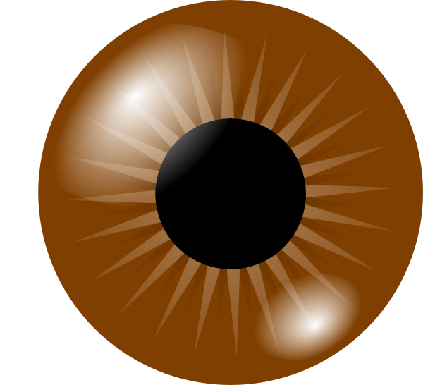 600x546 Brown Eye Clip Art