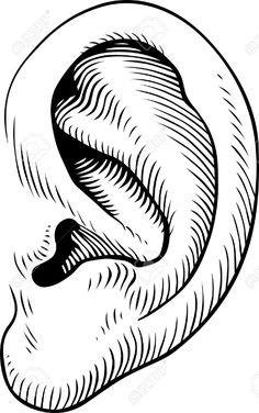 236x376 Human Nose Clipart Black And White