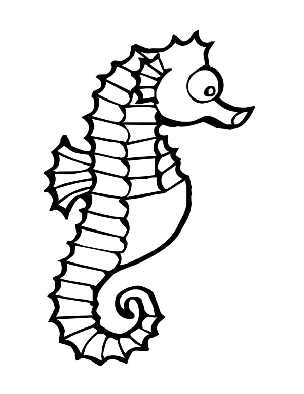 600x776 Big Rounded Eye Seahorse Coloring Page