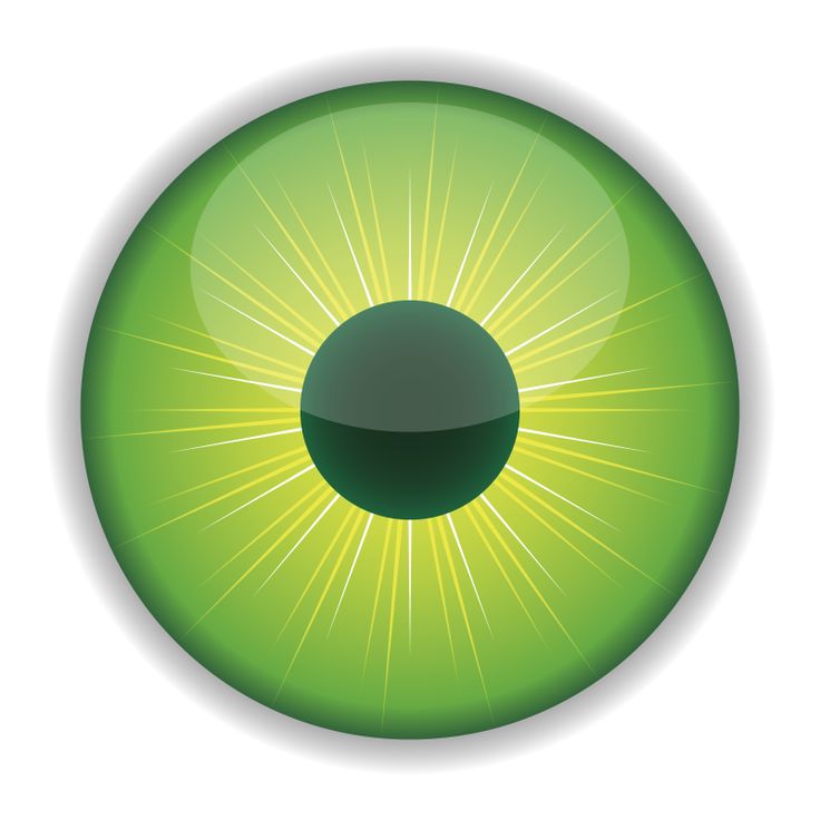736x736 Eyeball Human Eye Clip Art Free Clipart Images Image