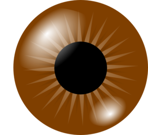 300x273 Brown Eye Clip Art
