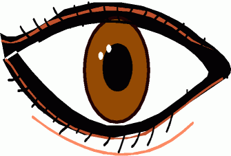 335x227 Eyeball Clipart Body Part