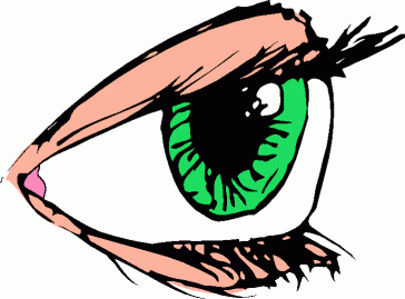 364x269 Regular Clip Body Completely