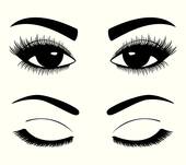 170x151 Eyebrows Clip Art