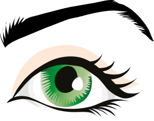 300x236 Eyelash Clipart Brow