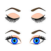 170x170 Eyelashes Clip Art