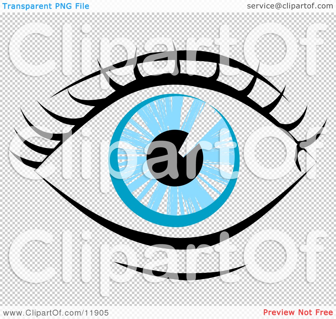 1080x1024 Eyelash Clipart Human Eye Clip Art Blue Human Eye And Eyelashes