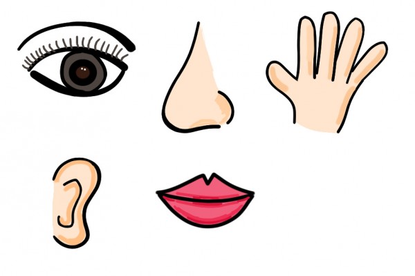 Eyes And Mouth Clipart | Free download on ClipArtMag