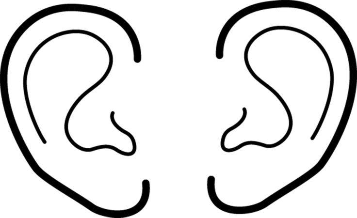 736x450 Eyes Nose Clipart