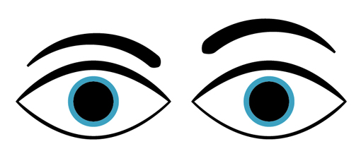 510x238 Eyes Outline Cliparts