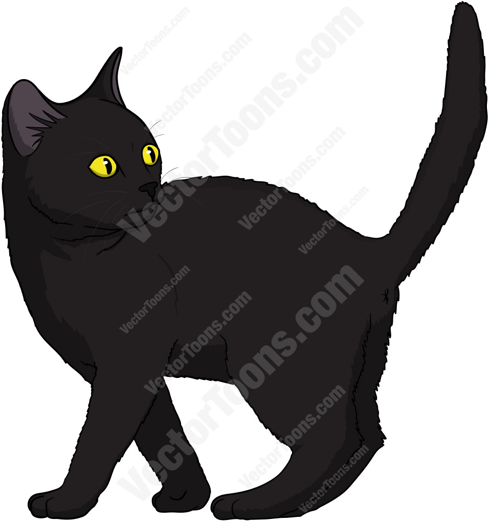 956x1024 Black Kitten With Yellow Eyes Standing With Its Tail Up Looking