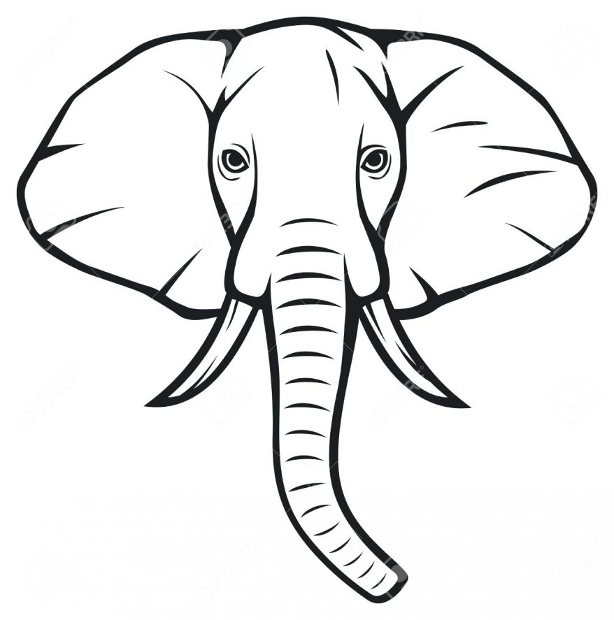 878x887 Elephant Outline Template Pa 138 Interesting Clipart Elephant
