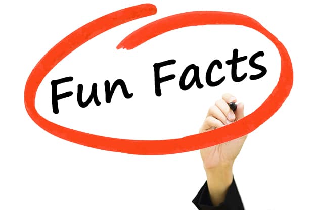 Fact Clipart | Free download on ClipArtMag